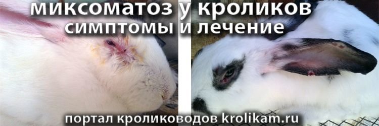 Эксперт кроликовод, он-лайн портал krolikam.ru