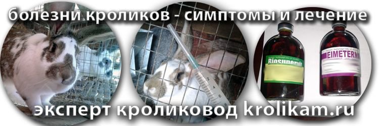 Какие болезни у кроликов бывают видео thumbnail